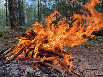 Similar image 22070125