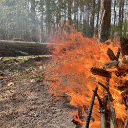 Similar image 22070127