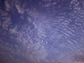 Similar image 22070214