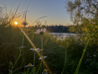 Similar image 22070215