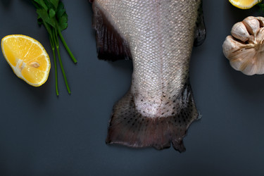 Similar image 22077698