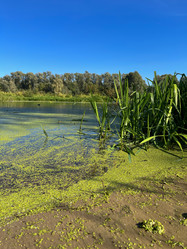 Similar image 22071469