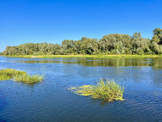 Similar image 22071470