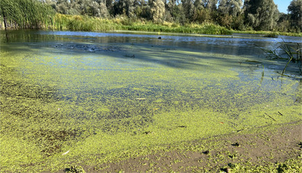 Similar image 22071471