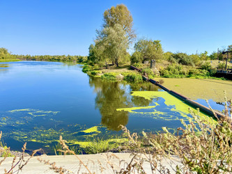 Similar image 22072049