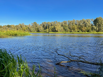 Similar image 22072198