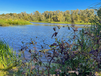 Similar image 22072314