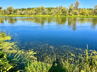 Similar image 22072316