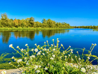 Similar image 22072319