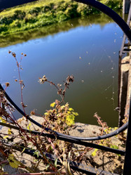 Similar image 22072321