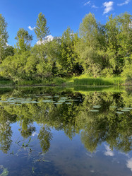 Similar image 22072322