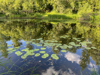 Similar image 22072324