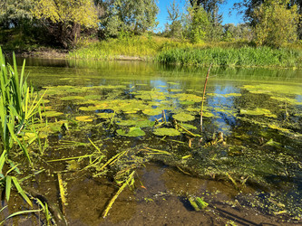 Similar image 22072556