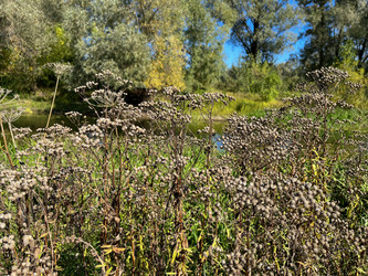 Similar image 22072558