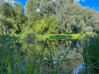 Similar image 22073641