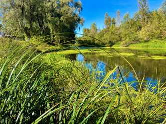 Similar image 22073642