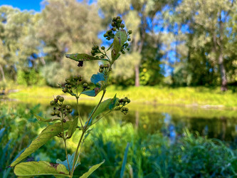 Similar image 22073757