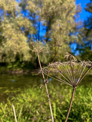 Similar image 22073759