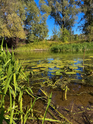 Similar image 22073859