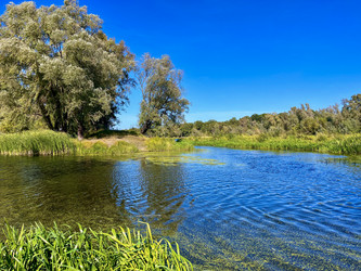 Similar image 22073861