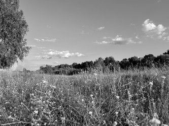 Similar image 22073866