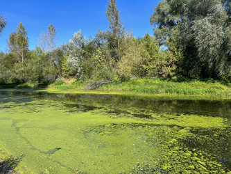 Similar image 22073871