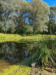 Similar image 22073872