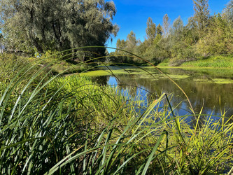 Similar image 22073874