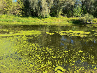 Similar image 22073875