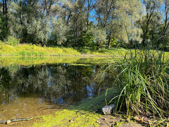 Similar image 22073877