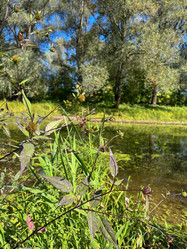 Similar image 22073879