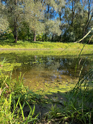 Similar image 22073881