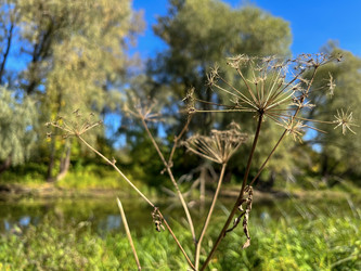 Similar image 22073885