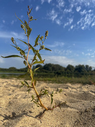 Similar image 22073886