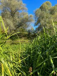 Similar image 22073887