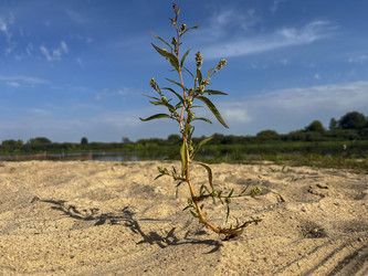 Similar image 22073888