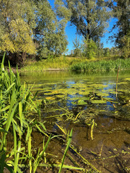 Similar image 22073891