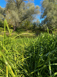 Similar image 22073893