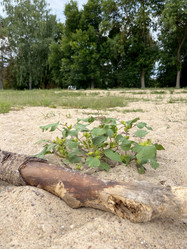 Similar image 22073894