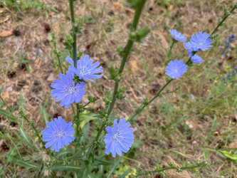 Similar image 22074060