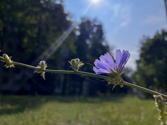 Similar image 22070076