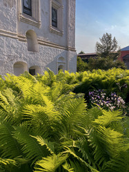 Similar image 22070078