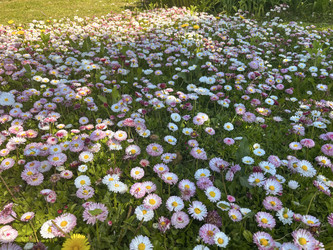 Similar image 22070129