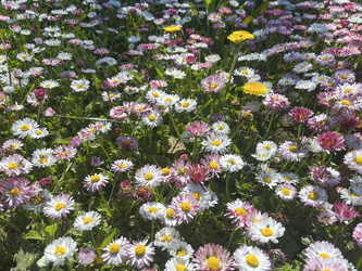 Similar image 22070133