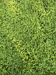 Similar image 22070134