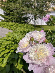 Similar image 22070135