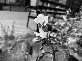 Similar image 22070137