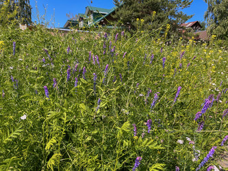 Similar image 22070138