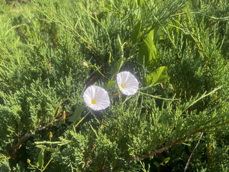 Similar image 22070171