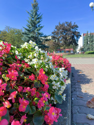 Similar image 22070172